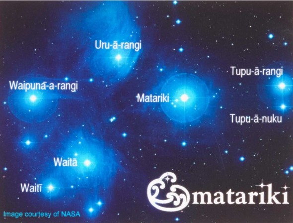The Matariki cluster. Magnet available from Te Papa online store http://www.tepapastore.co.nz/products/matariki-magnet