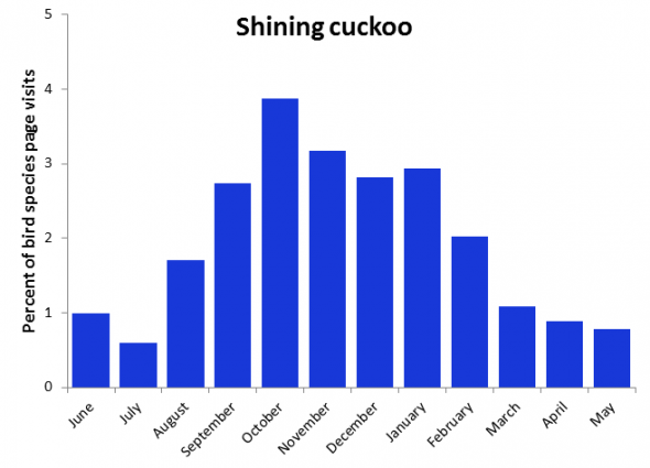 Shining cuckoo graph