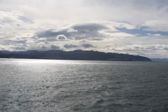 Palliser Bay and the waters outside of Wellington Harbour heads, and area used by many seabirds in New Zealand, and commonly by little penguins from Wellington harbour breeding sites. Image Susan Waugh, Copyright Te Papa.