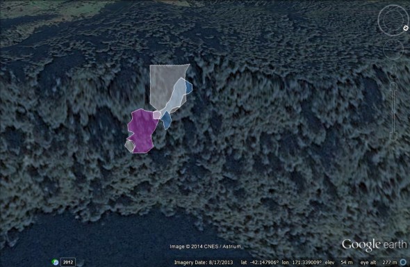 Rowe colony polygons (coloured) used for monitoring the population size, and the white area overlaid is the zone where land-slips occurred, removing all topsoil and nests underneath.