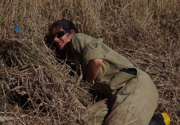 Polly Hall (Takapourewa DOC ranger) with her arm down a fairy prion burrow. Image: Colin Miskelly, Te Papa
