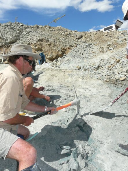 Trevor Worthy (Flinders University, Adelaide) removes sediment so that we can reach a rich bone-bearing layer, February 2012. Photographer: Alan Tennyson © Te Papa