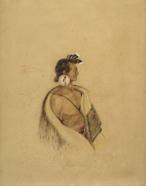 Charles Heaphy Rangiaeata. 1840. Ref C-025-022 ATL