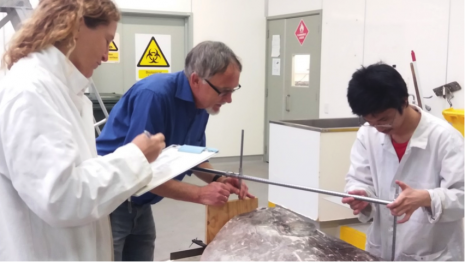 Marianne Nyegaard, Andrew Stewart and Te Papa intern Etsuro Suwai measuring a specimen of the new sunfish. (Photo Salme Kortet, Te Papa).