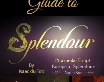 A Children's Guide to Splendour by Isaac du Toit, edited by Paddy Rockwell.