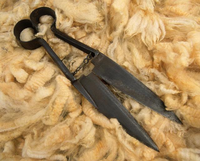 Hand Shears, 1800s, maker unknown. Gift of an anonymous donor, date unknown. CC BY-NC-ND licence. Te Papa (T000227)
