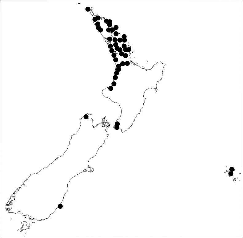 A map showing the distribution of coastal kōwhai.