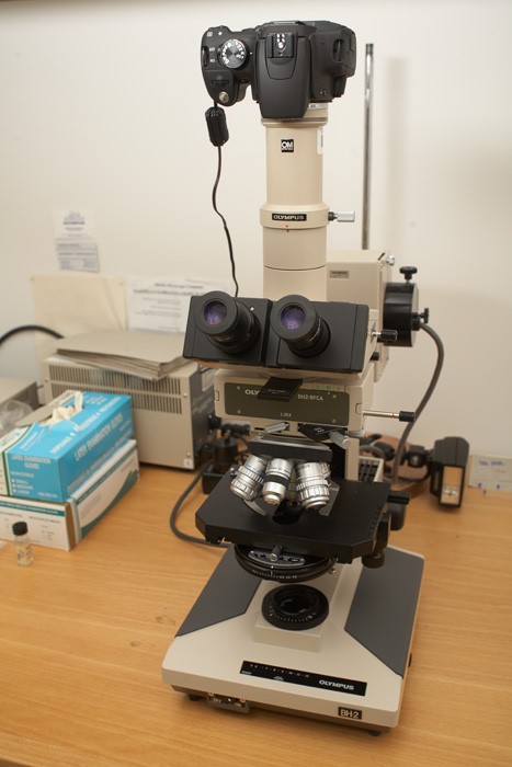 Olympus BH2 compound microscope. Photograph by Jean-Claude Stahl. Te Papa