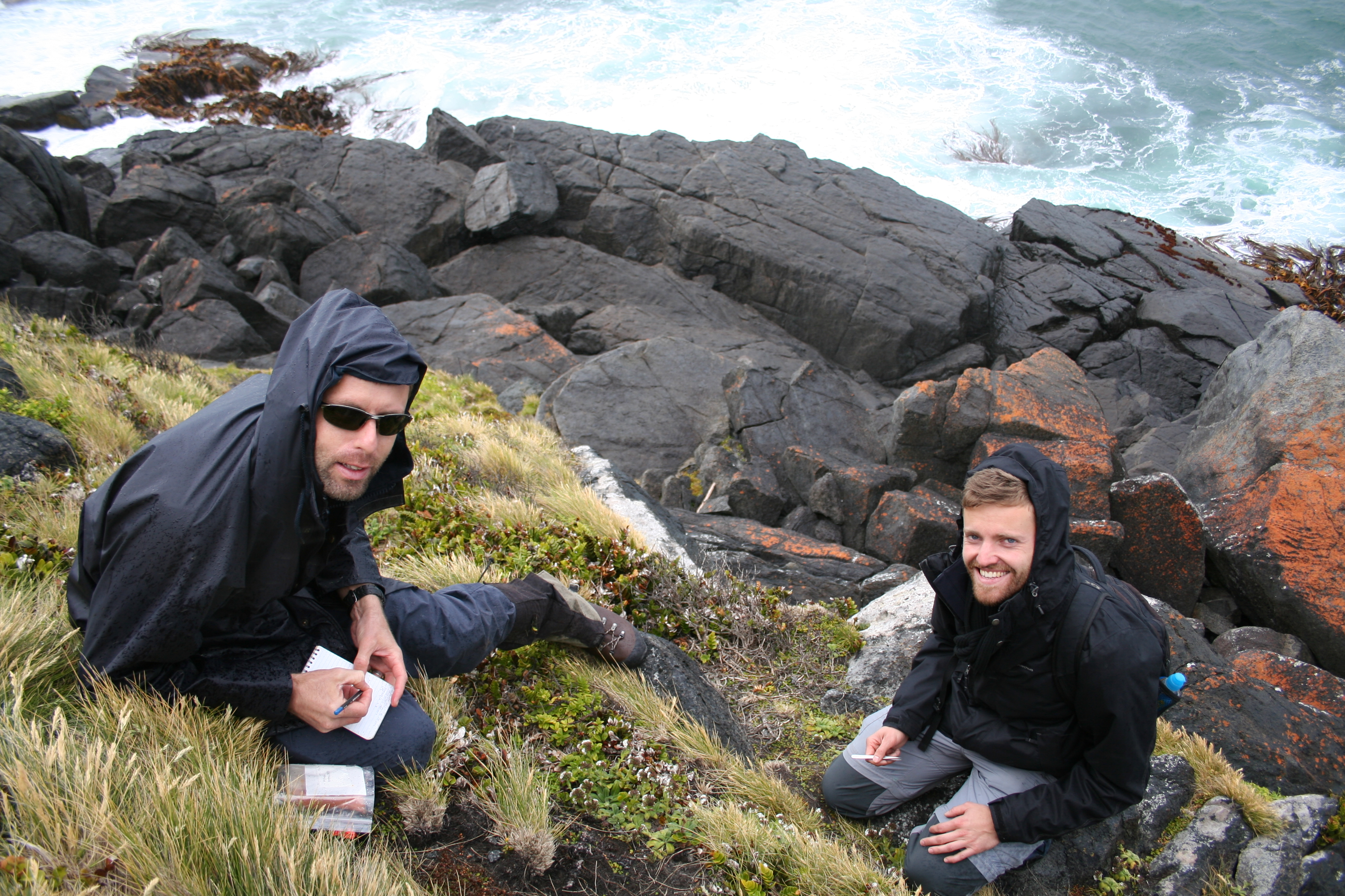 Ant and Mathew making research collections and notes of Myosotis rakiura near Bluff, December 2016. Photo by Heidi Meudt @ Te Papa.