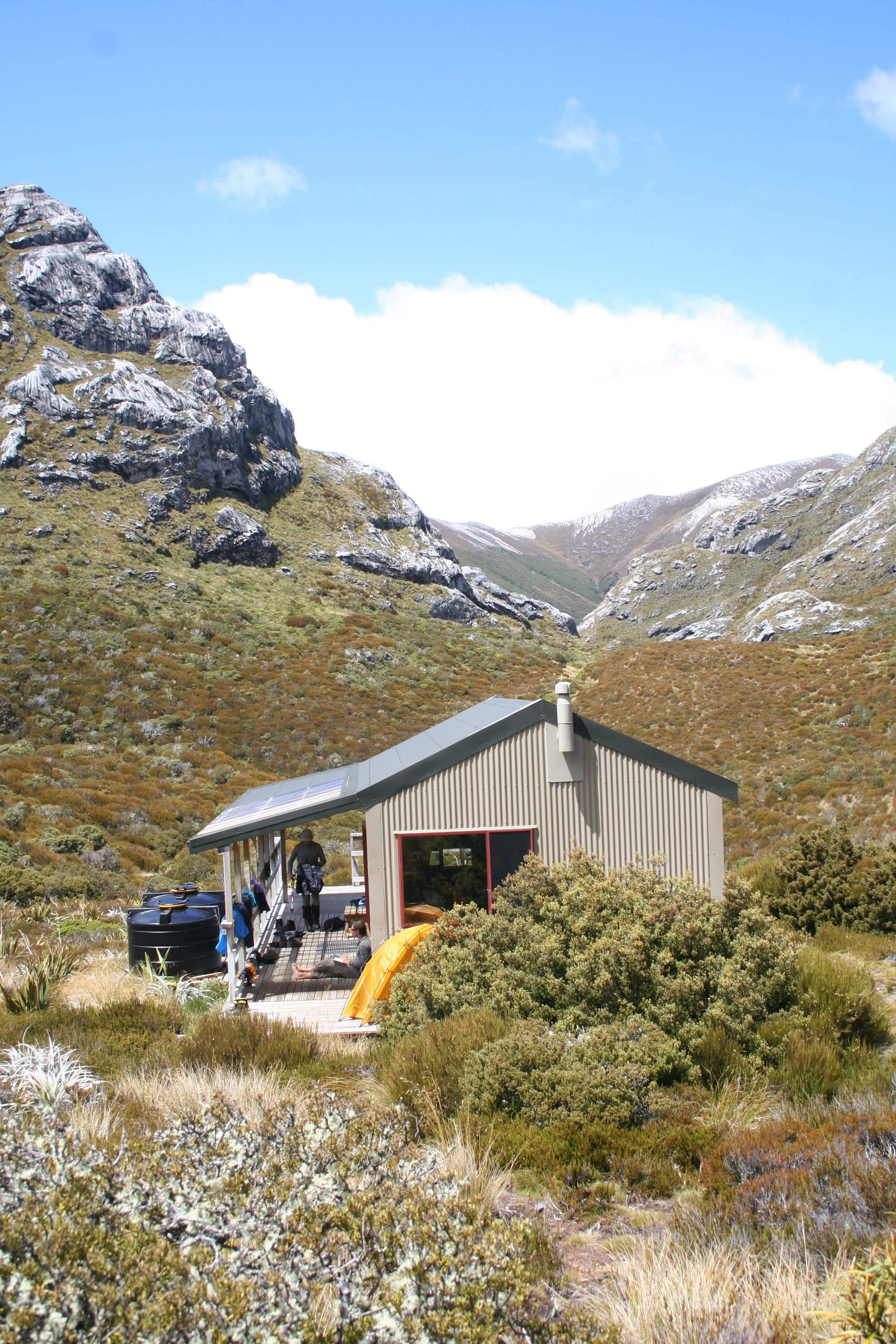 We were fortunate to be based at the wonderful Granity Pass Hut while we were working in the Mt Owen area, Kahurangi National Park, January 2017. Photo by Heidi Meudt @ Te Papa.