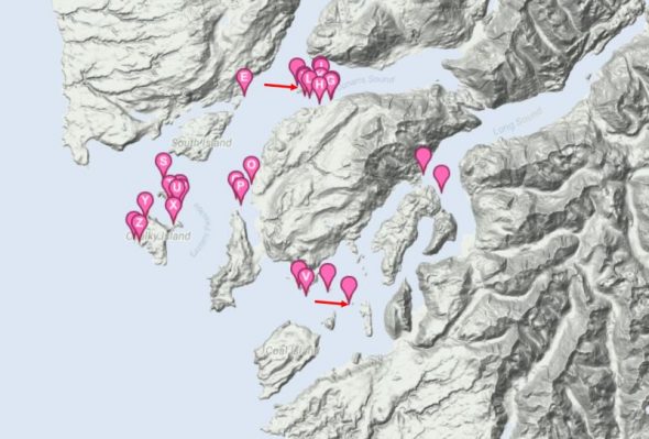 Sites where flax weevil feeding sign was noted in Chalky and Preservation Inlets in November 2017. Red arrows show islands where live flax weevils were found. Map based on NatureWatch sightings contributed by the Te Papa and DOC team.