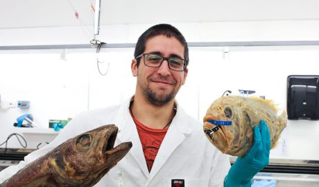 Man in lab coat holds large fish dead in each hand