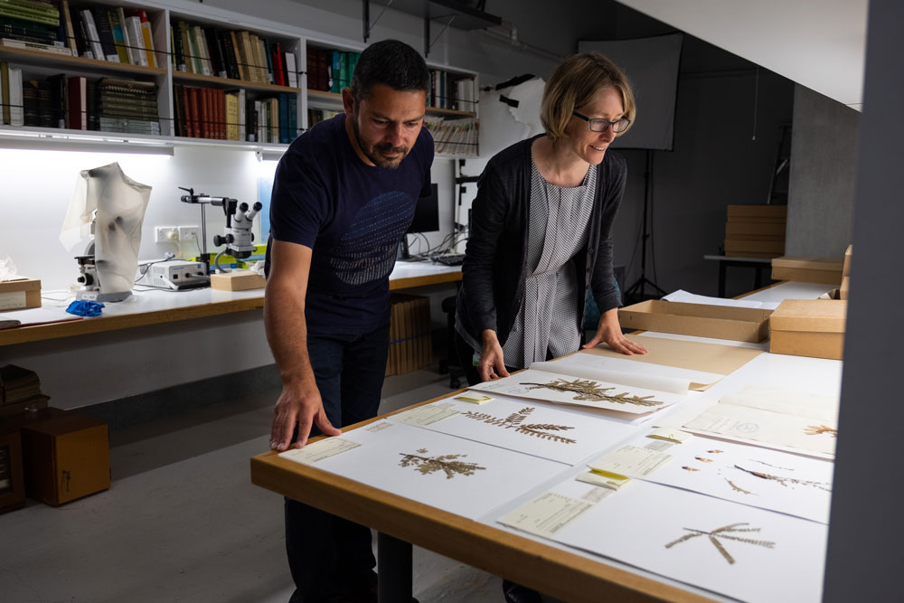 Two people in a science lab looking at dried plant specimens