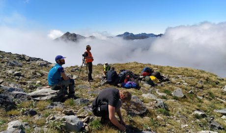 Collecting in the clouds. A surreal morning waiting for the helicopter to reappear, pick us up, and take us to the next field site in Fiordland National Park. And some of us are still botanising while we wait! 14 Feb 2020. Photo by Heidi Meudt @ Te Papa.