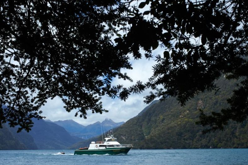 A boat on water with mountains in the background and dark overhanging leaves in the foreground.