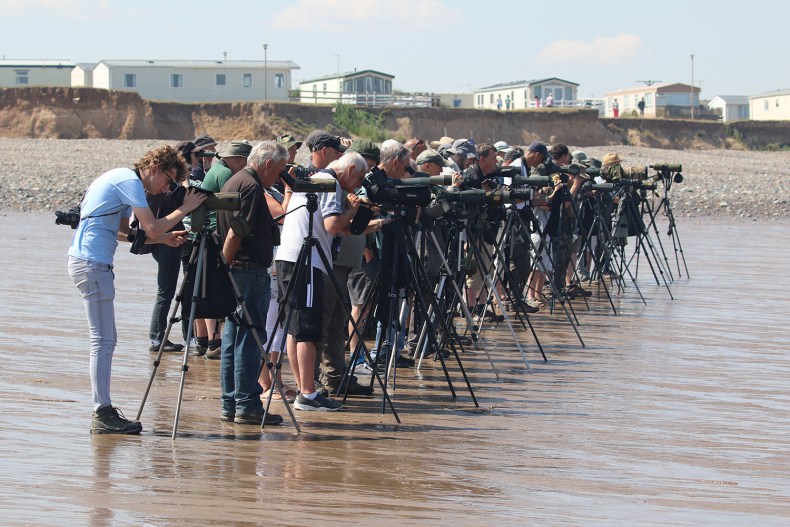 A large group of people on an English beach standing behind cameras on tripods all facing the same way