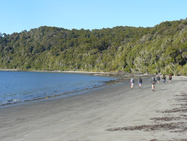 Six people walking on a beach, away from the camera and towards bush-laden hills.
